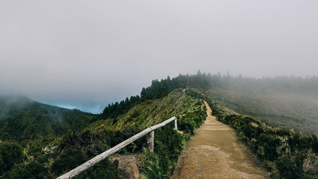The Pathless Path